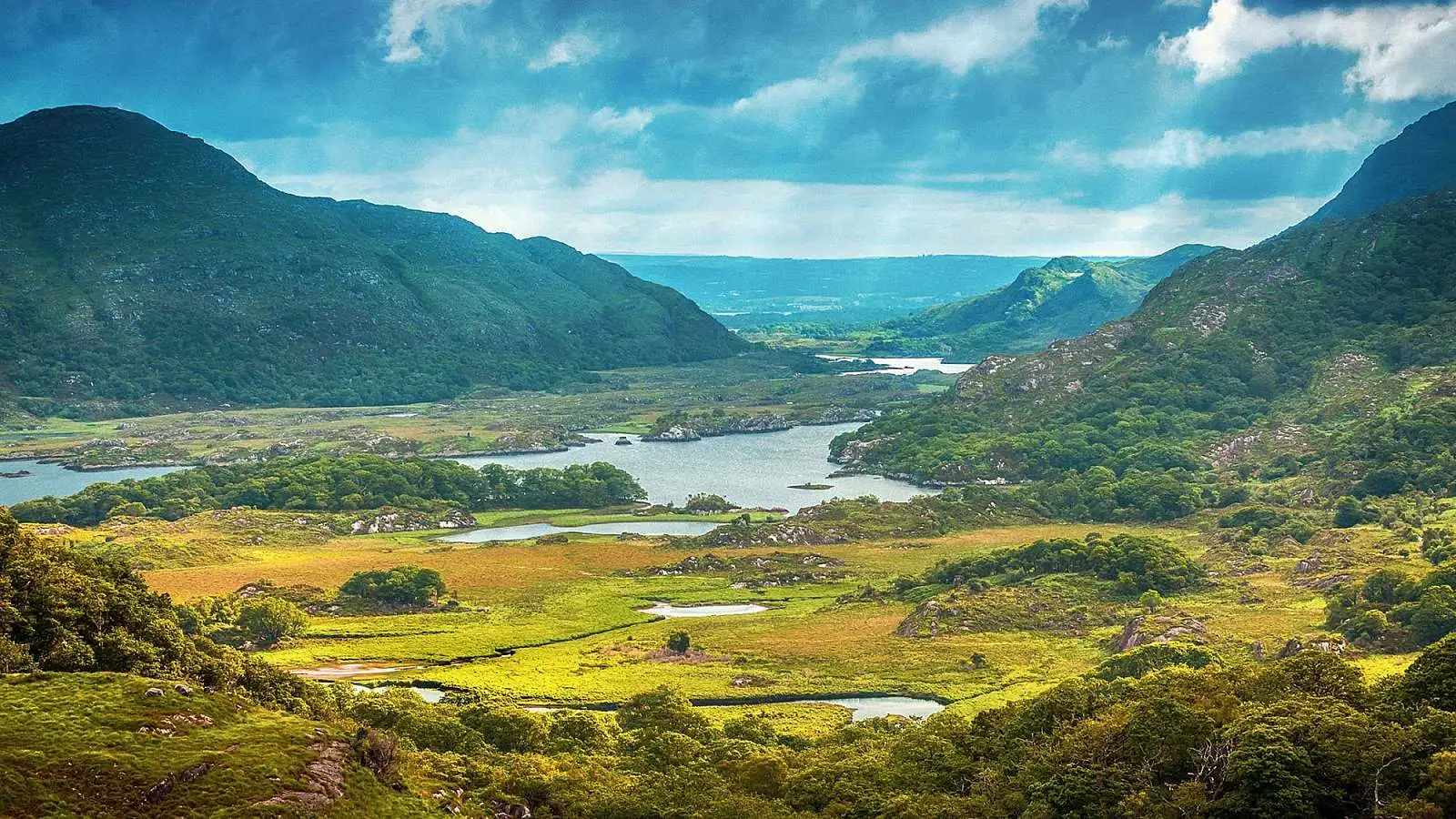 Rondje Ierland: Wildlife, Cultuur en Wilde Kusten